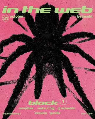IN THE WEB by insekt