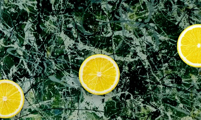 The Complete Stone Roses
