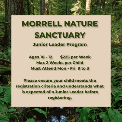 Junior Leaders Summer 2027