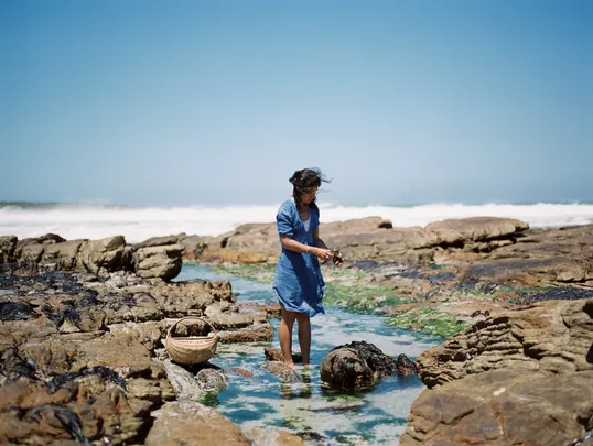 Coastal Forage Experience with Veld & Sea - 20 March