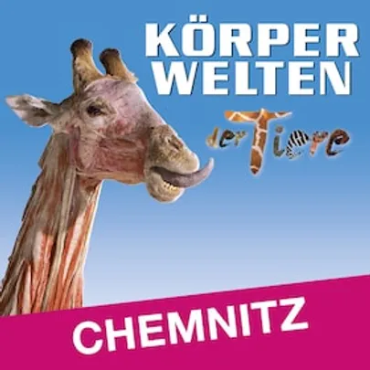 KÖRPERWELTEN der Tiere | Chemnitz | Zeitfensterticket