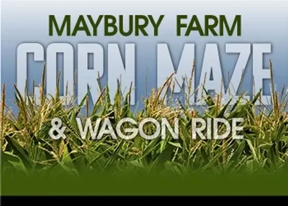 Maybury Farm Corn Maze - Sundays 2026