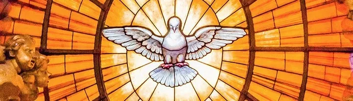 Pymble Catholic Parish Confirmation 2026