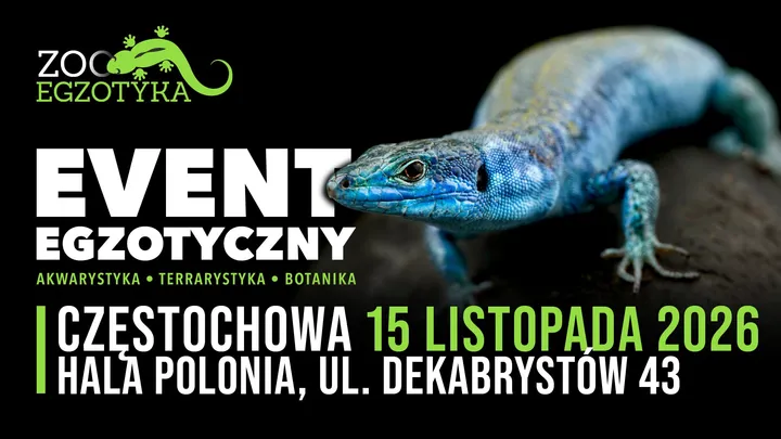 ZooEgzotyka Częstochowa