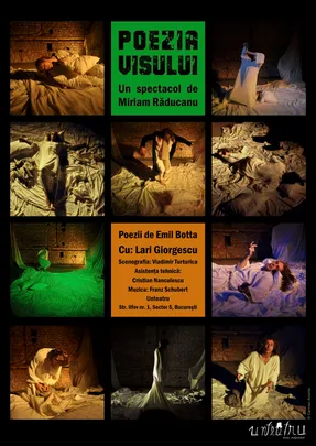 Poezia visului