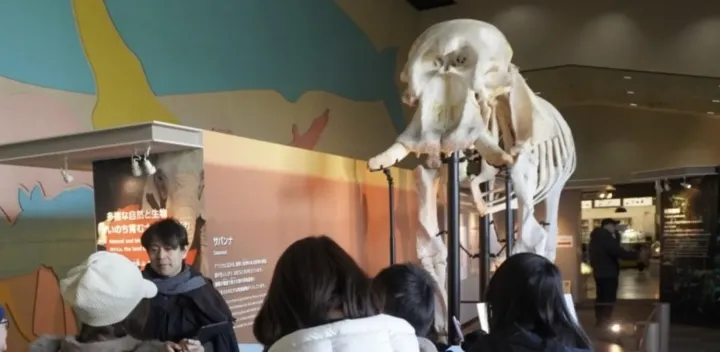 【動物園・妖怪】幻獣の形態・行動を大解析！？妖怪先生と巡る「東山幻想動物園」～犀、貘、象、獺など、知るともっと面白い！現実世界の生物の特徴が反映された幻獣たち～