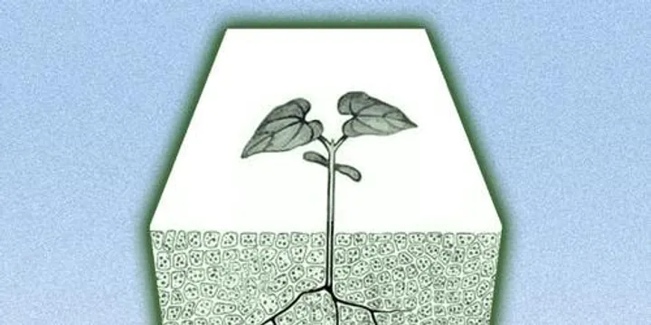 Plant your grief - Death Cafe
