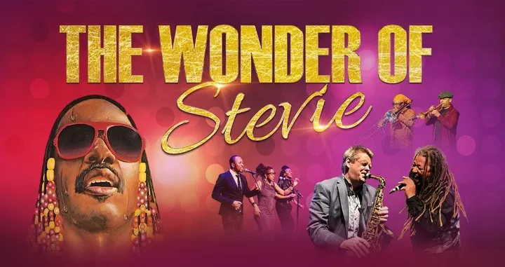The Wonder of Stevie