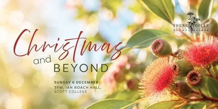 YVM: Christmas and Beyond