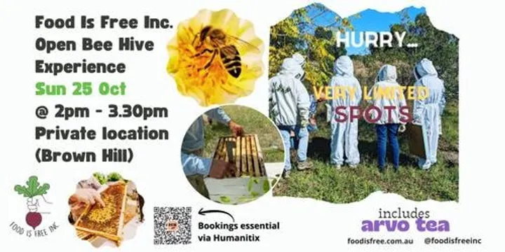 Open Bee Hive experience - Food Is Free Inc. Sun 25 Oct 2026