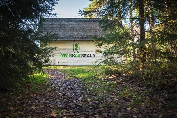 23. oktoober. HÖR: Mida me ei julge otsustada? Miks mõned olulised valikud jäävad organisatsioonides venima?