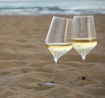 VinLab Light – Friske & aromatiske hvidvine 🥂