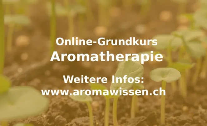 Grundkurs Aromatherapie –  Einstieg in die ätherischen Öle