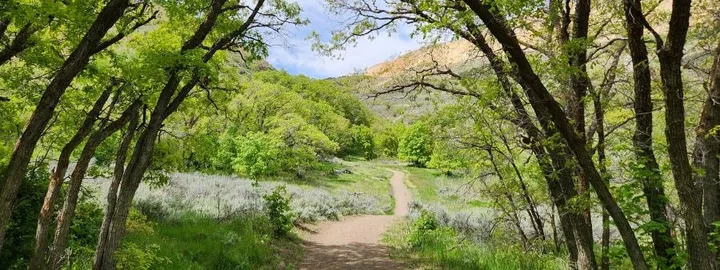 Butterfield Canyon Marathon