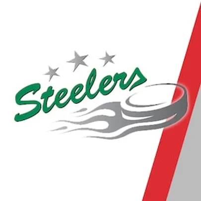 EHC Freiburg - Bietigheim Steelers