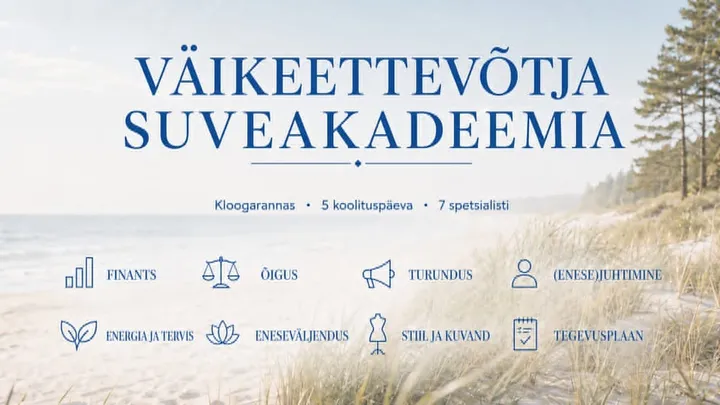 VÄIKEETTEVÕTJA AKADEEMIA: omanda praktilised teadmised, et teha oma ettevõttes teadlikumaid otsuseid