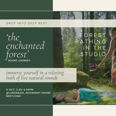 The Enchanted Forest - Sound Journey