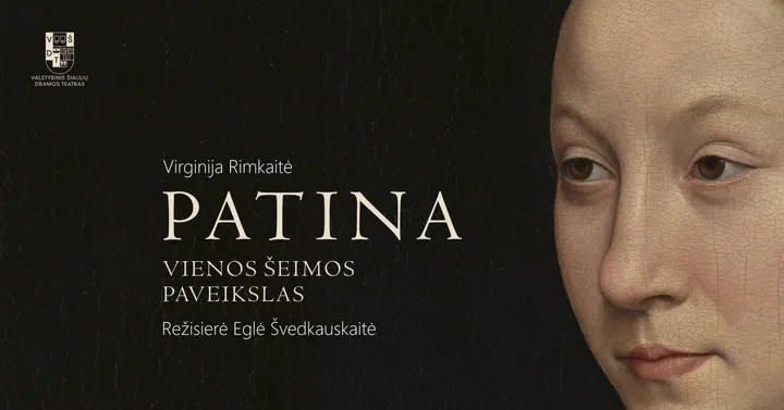 VŠDT | PATINA | rež. Eglė Švedkauskaitė