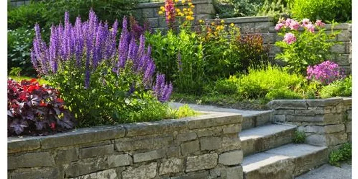 Principles of Garden Design: Short Course