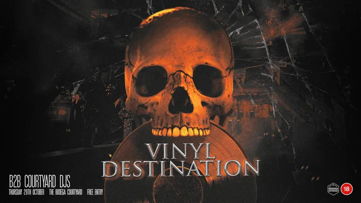 Vinyl Destination 💀