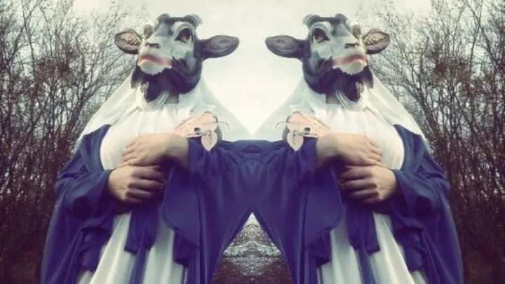 THE DEVIL & THE UNIVERSE