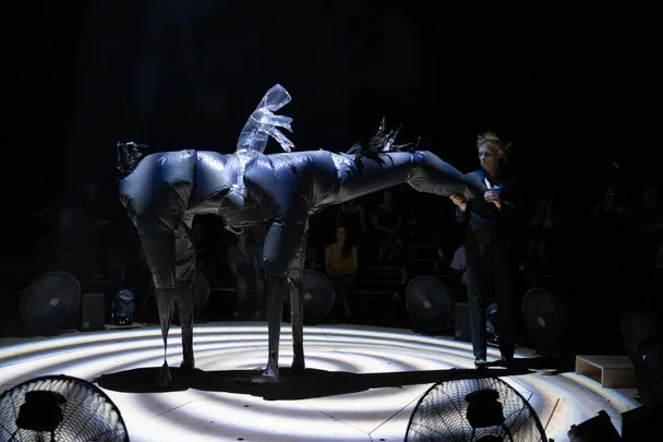 Nocturne (Parade), de Phia Ménard / Compagnie Non Nova