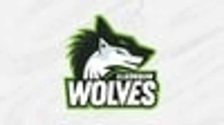 Varsity Volleyball: Algonquin Wolves vs. George Brown Huskies