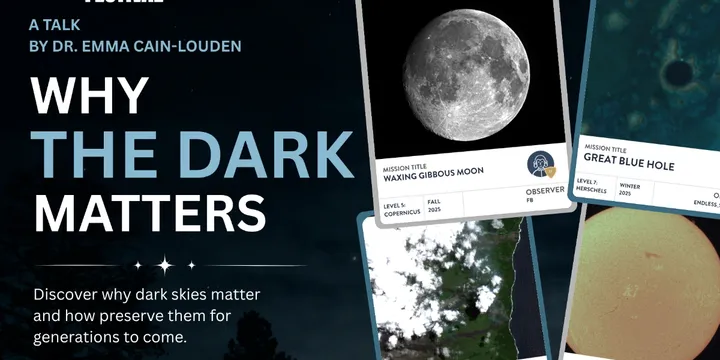 Why the Dark Matters