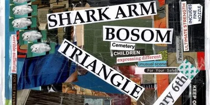 BOSOM, TRIANGLE, SHARK ARM (let’s try this again)