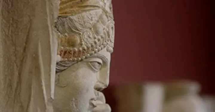 The 1001 Faces of Palmyra by Meyar Al Roumi