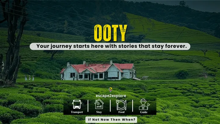 Ooty Tour Package