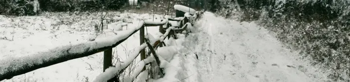 Slawit Snowstorm Shuffle