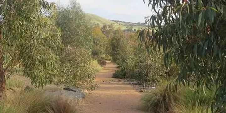 Nature therapy - Relax in nature