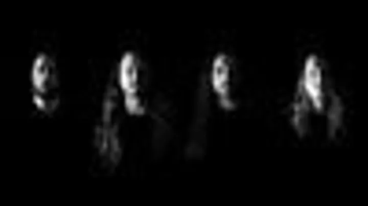 Havok