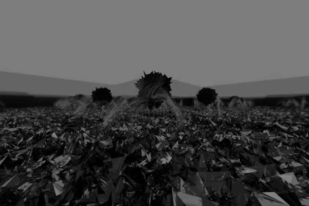 Shadow Meadow