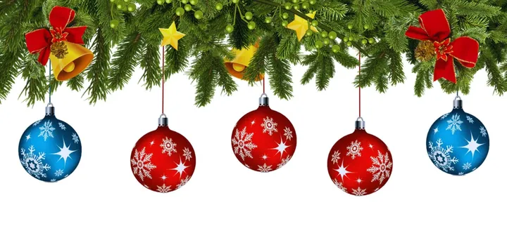 Golden Jubilee "Rising Stars" Christmas Lunch