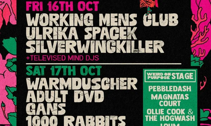 Future Days w/ Warmduscher, Adult DVD, Gans + more