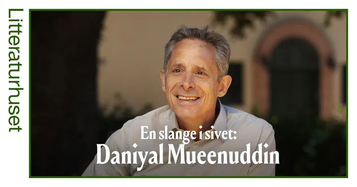 Daniyal Mueenuddin: En slange i sivet / A Snake in The Grass