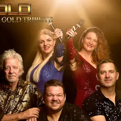 GOLD: ABBA GOLD -VEJLE