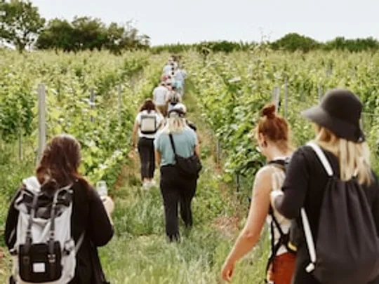 Saisonabschluss Weinwanderung: Herbstgenusstour mit Weinprobe