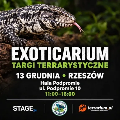 Exoticarium | RZESZÓW | Wystawa pająków