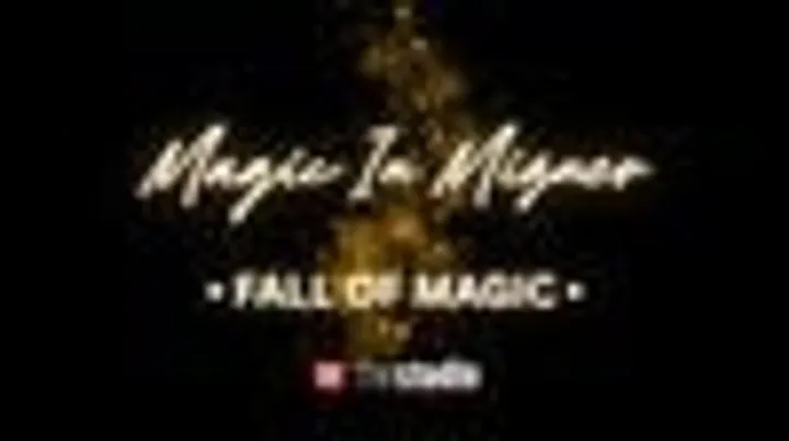 Magic In Mizner - Randy Goodman