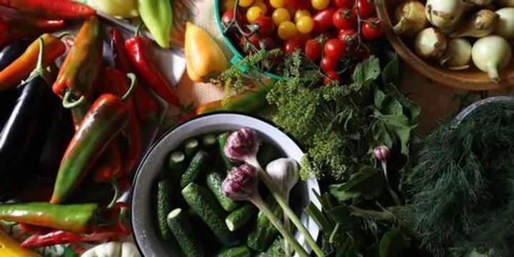 Eastern European Fermentation Workshop and Lunch 28th November