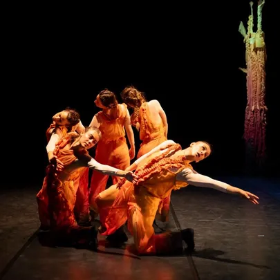 Sensorial Symphonies