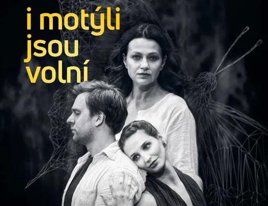 „I motýli jsou volní“