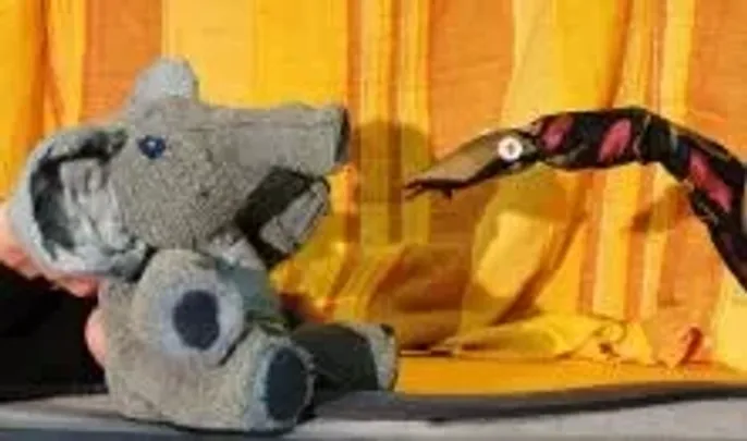 A kíváncsi kiselefánt