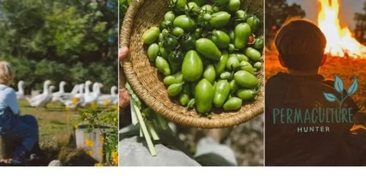 Hunter Permaculture: Building Resilient Families & Communities