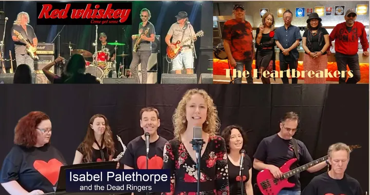 Fri 30 Oct: BandsOnStage at the Freeway Hotel, Artarmon