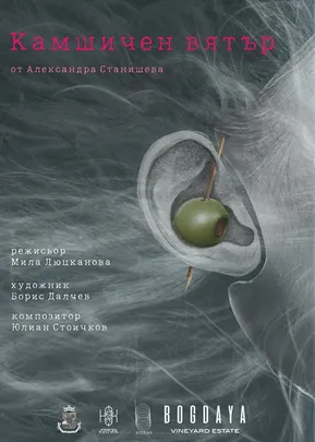 "Камшичен вятър"- сайт-спесифик (не)театрално риалити - 19:00 ч