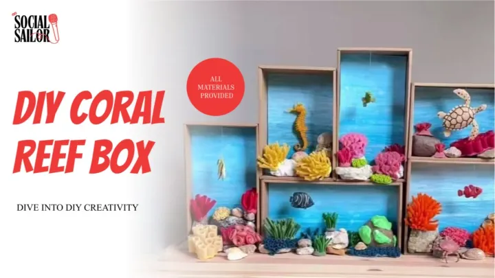 DIY Coral Reef - Mumbai